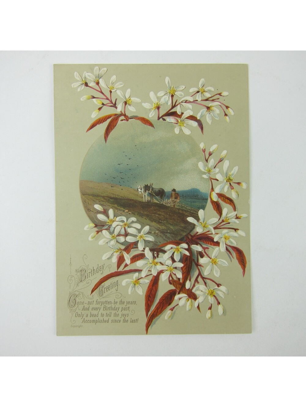 Victorian Birthday Greeting Card Farmer Plow Horses White Flower Blossom Antique